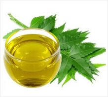 neem oil